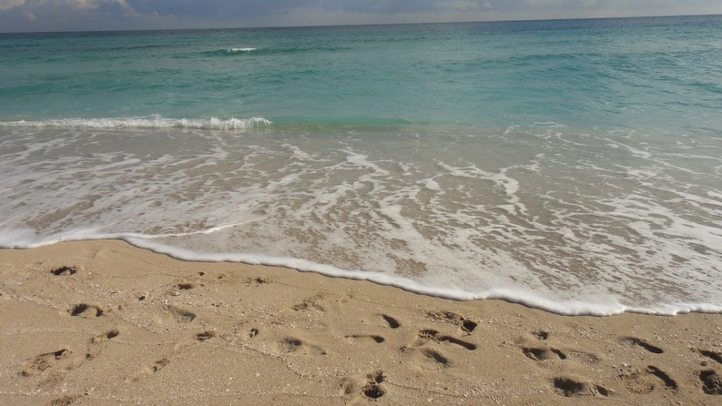 迈阿密海滩相当干净