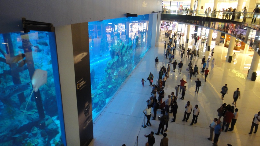 世界最大的室內水族箱在 Dubai mall 裡