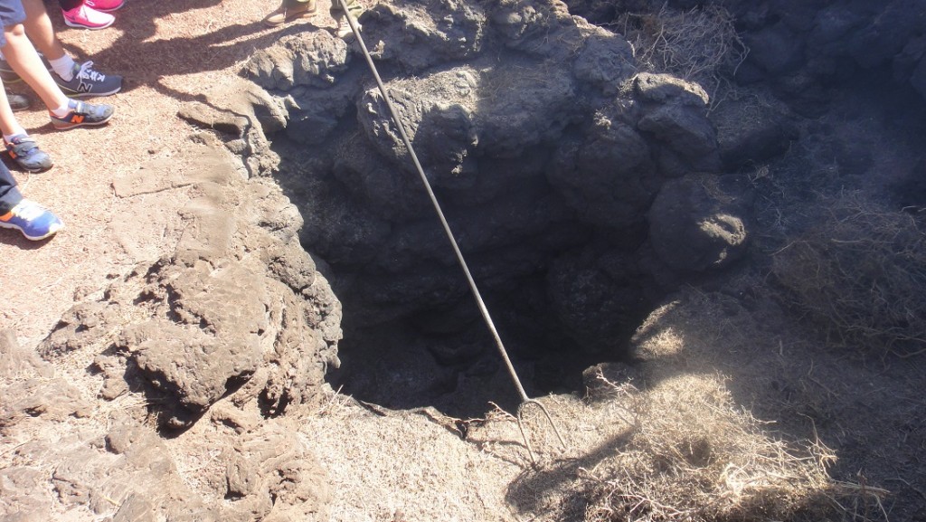 工作人員再來把一些乾草放到約 5公尺深的洞裡